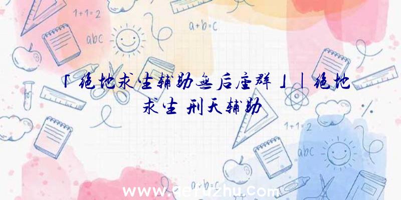 「绝地求生辅助无后座群」|绝地求生